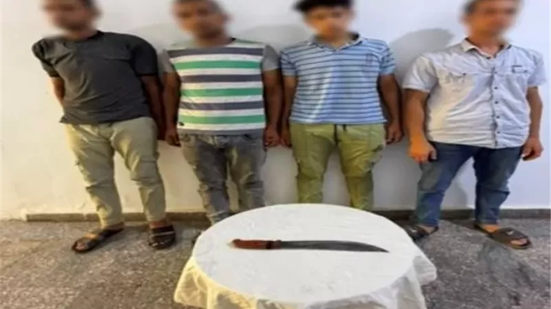 بوابة الجمهورية