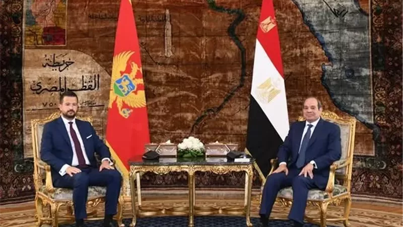 الرئيس السيسي يؤكد رفض مصر للاعتداءات غير المبررة على الدول العربية