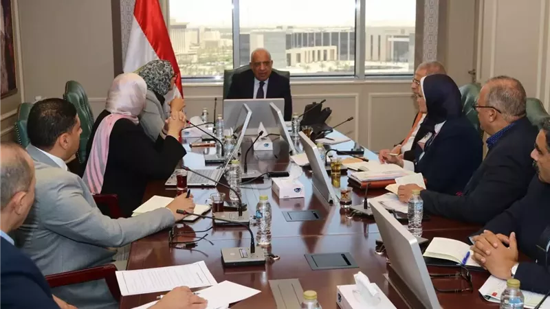 وزير الكهرباء يبحث مع محافظ الوادي الجديد سبل دعم الطاقات المتجددة