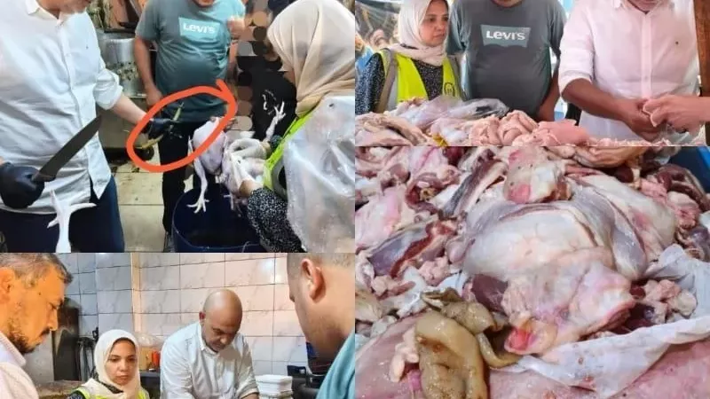 ضبط طن وربع لحوم ودواجن فاسدة في حملات مكبرة بالقليوبية