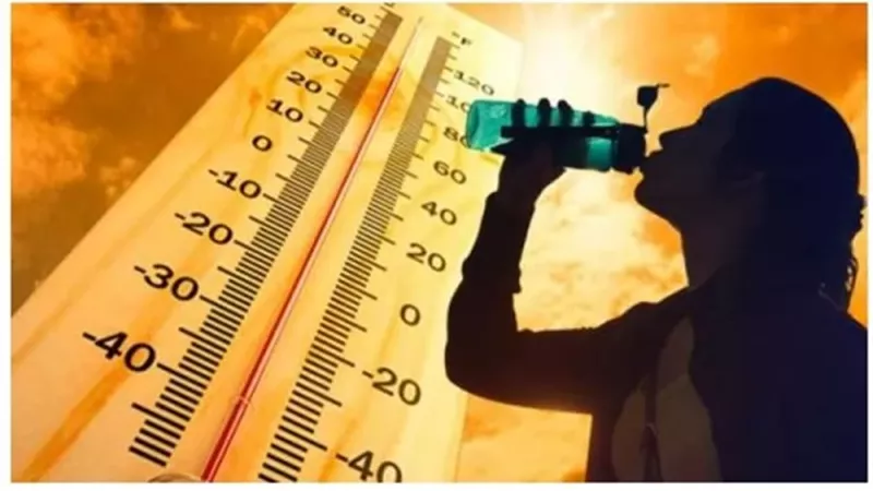 الأرصاد تحذر.. الأربعاء ذروة الموجة الحارة والمحسوسة بالقاهرة 41