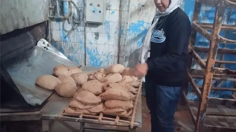تحرير 67 محضرا تموينيا متنوعا في الإسماعيلية