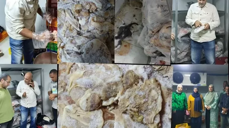 إحباط كارثة غذائية.. ضبط طن لحوم ودواجن فاسدة داخل ثلاجة بالقليوبية