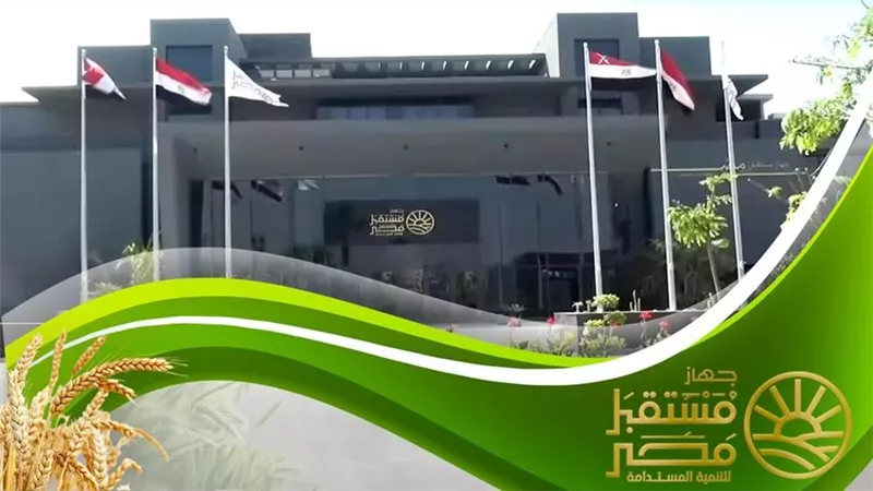 دور 