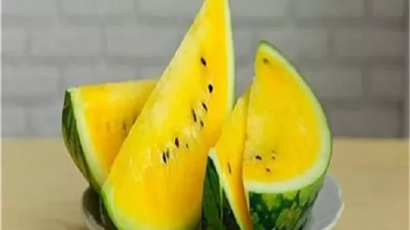 البطيخ الأصفر ومرضى السكري والكلى .. نصائح مهمة قبل تناوله