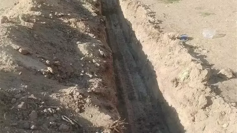 محافظة الإسماعيلية توضح حقيقة بيع الغابة الشجرية