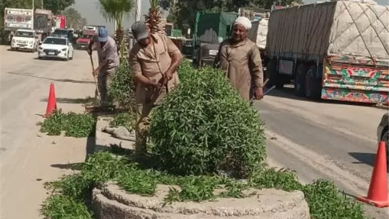 محافظ أسيوط: مواصلة أعمال قص وتهذيب الأشجار بالطريق السريع