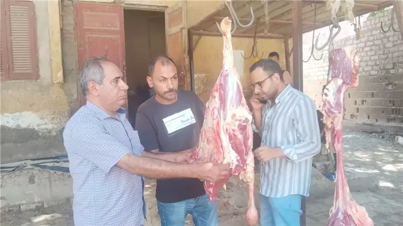 التحفظ على لحوم فاسدة وإعدام عجل مريض في أسيوط
