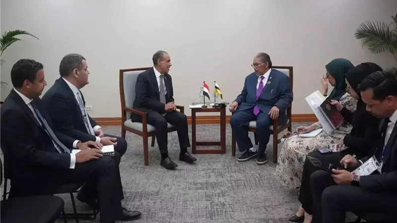 وزير الخارجية يبحث مع نظيره بسلطنة بروناي تعزيز التعاون الاقتصادي