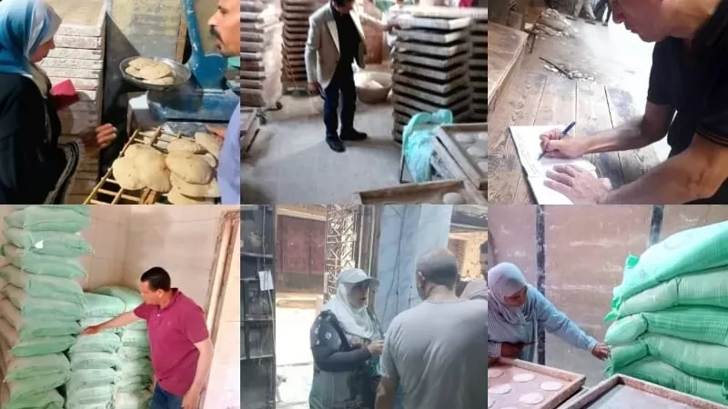 تموين القليوبية تحرر 79 مخالفة ويضبط 100 كجم دقيق بلدي مدعم