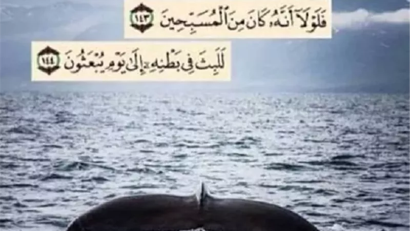 فضائل التسبيح في القرآن والسنة.. لماذا يُعد «سبحان الله وبحمده»