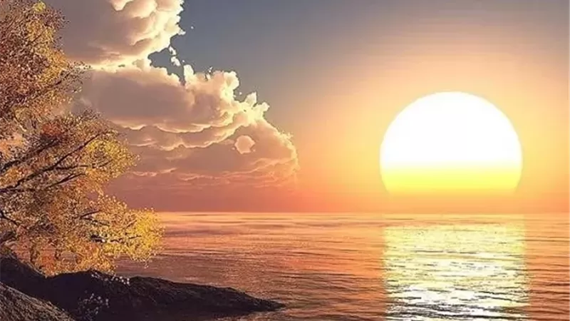 تعادل 360 صدقة.. فضل صلاة الضحى وأفضل وقت لأدائها