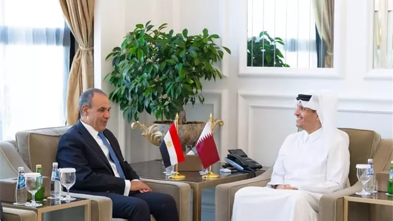وزير الخارجية يلتقي نظيره القطري في الدوحة