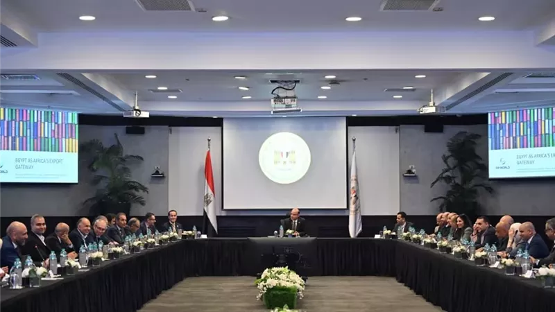 وزير الاستثمار يلتقي مجموعة موانئ دبي المجالس التصديرية