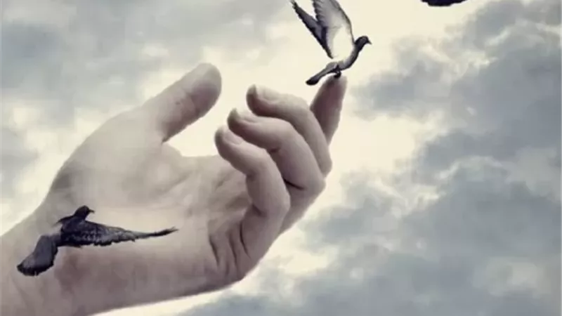 أسباب تراجع الرحمة