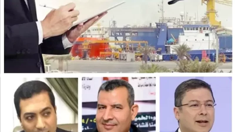 الخبراء يشيدون بتوجيهات الرئيس السيسي بإعداد برنامج الاقتصاد الوطني