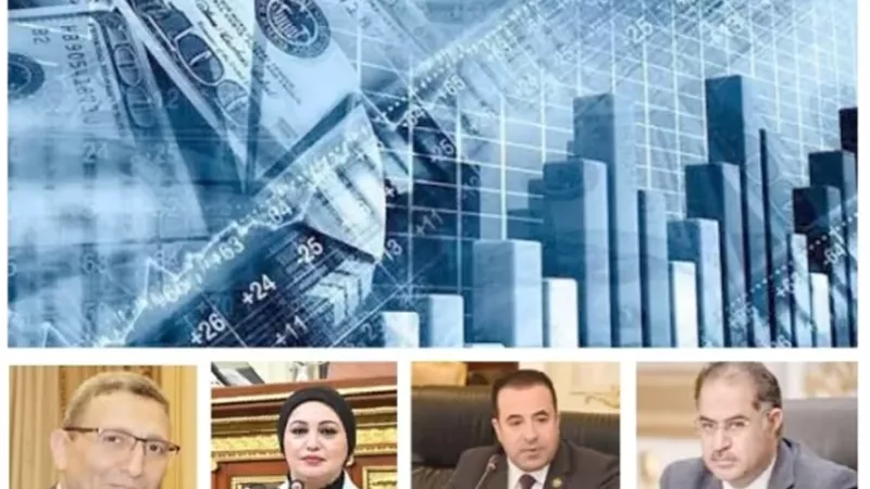 برنامج الاقتصاد الوطنى أساس العمل.. فى المستقبل