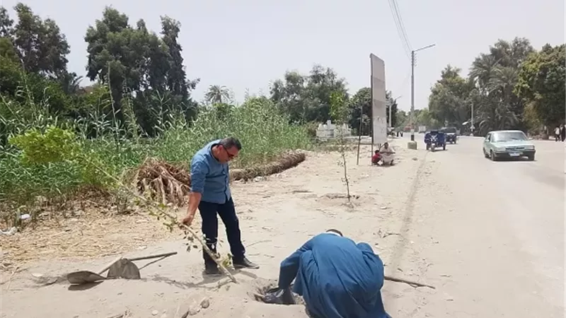 محافظ أسيوط: استمرار أعمال التشجير بمداخل القرى والطرق الرئيسية