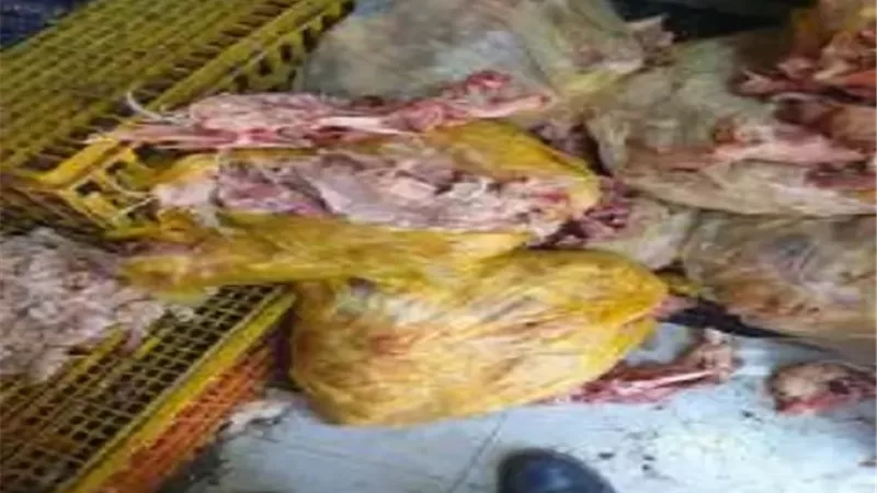 ضبط 4 أطنان و 147 كيلو دواجن ولحوم وأسماك غير صالحة للاستهلاك