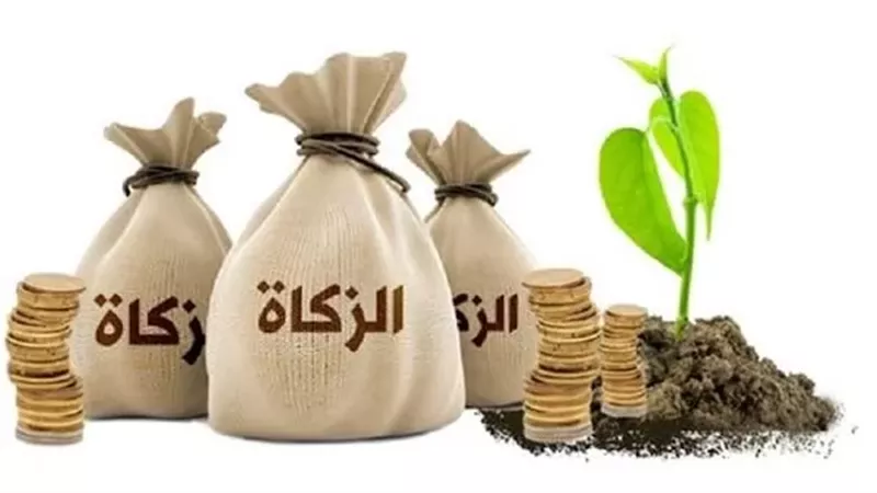 هل يجوز توجيه الزكاة لتأهيل الفقراء لسوق العمل؟