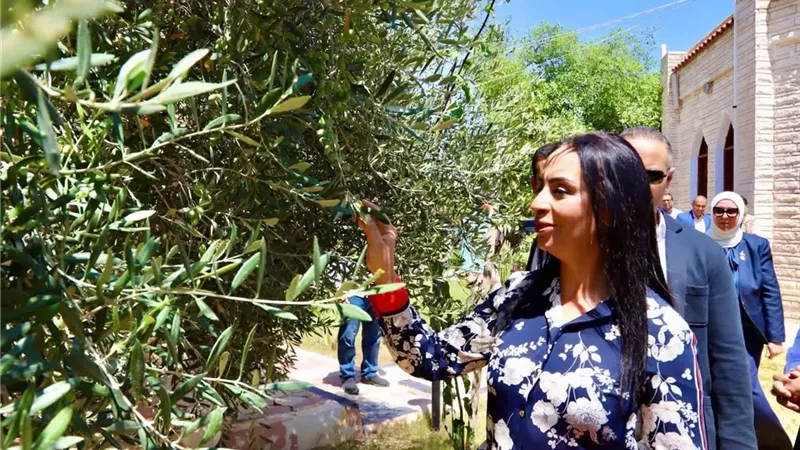 وزيرة التضامن تتفقد مزرعة الزيتون بمركز العزيمة بمحافظة مطروح