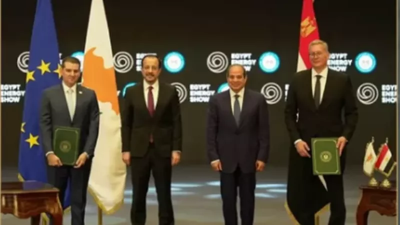 بدوي: قرار الاستثمار النهائي لكرونوس القبرصي يعزز مكانة مصر
