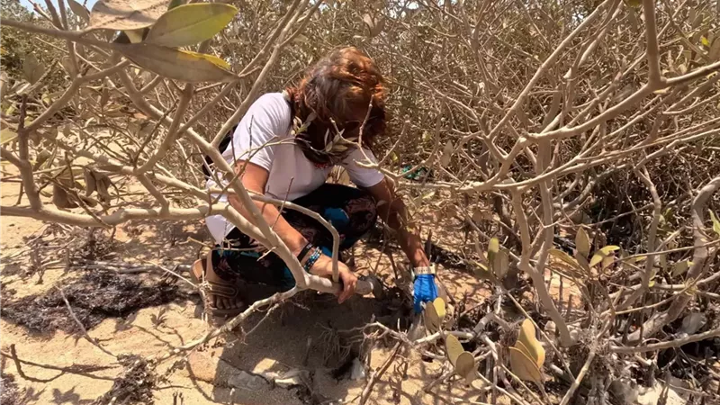 ندوة توعوية حول أشجار المانجروف بالغردقة