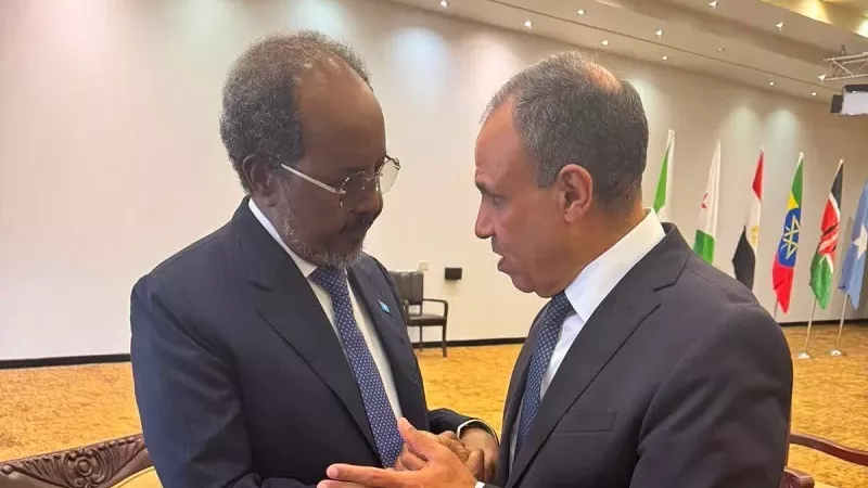 وزير الخارجية يبحث مع الرئيس الصومالي دعم الاستقرار في الصومال