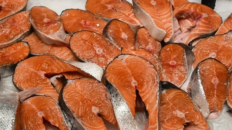 روسيا الثالثة عالميا في إنتاج سمك السلمون