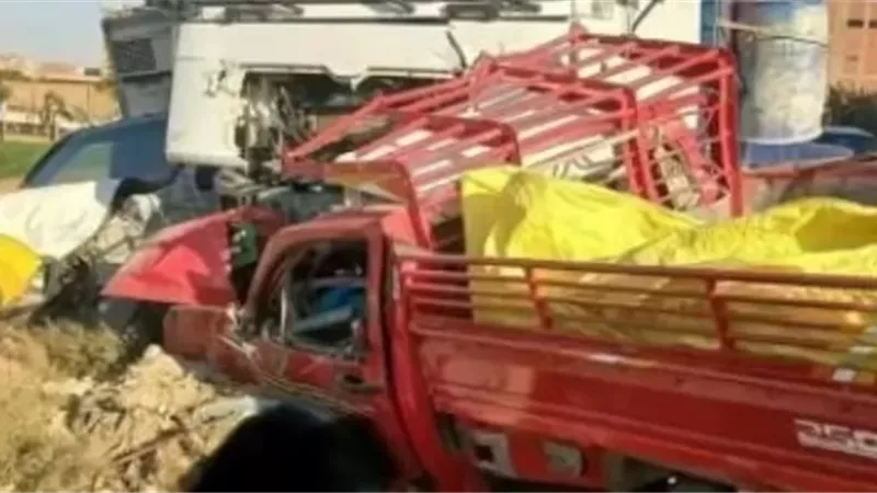 مصرع شاب وإصابة 6 آخرين أثر تصادم نقل وتروسيكل بصحراوي ملوي