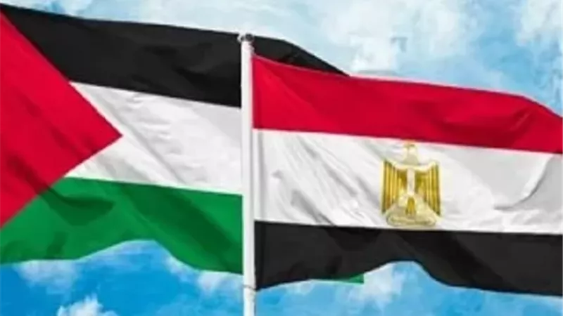 مراسل :التنسيق المصري التركي أسهم في دعم مسار وقف إطلاق النار في غزة