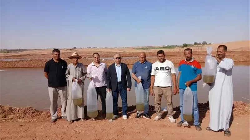 أكبر موسم للاستزراع السمكي بالقلمون