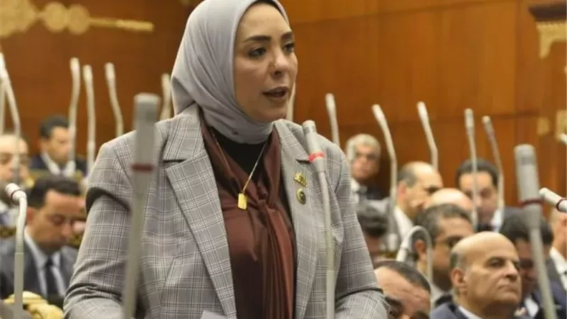 وفاء رشاد: توجيهات الرئيس بمتابعة المشروعات العقارية تعكس حرصه على حقوق المواطنين