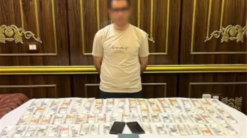 ضبط نصاب استولى على أموال عاملة بالجيزة