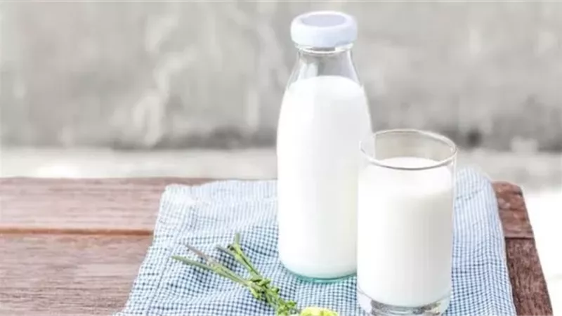 هل الألبان كاملة الدسم ضارة؟ دراسة حديثة تجيب