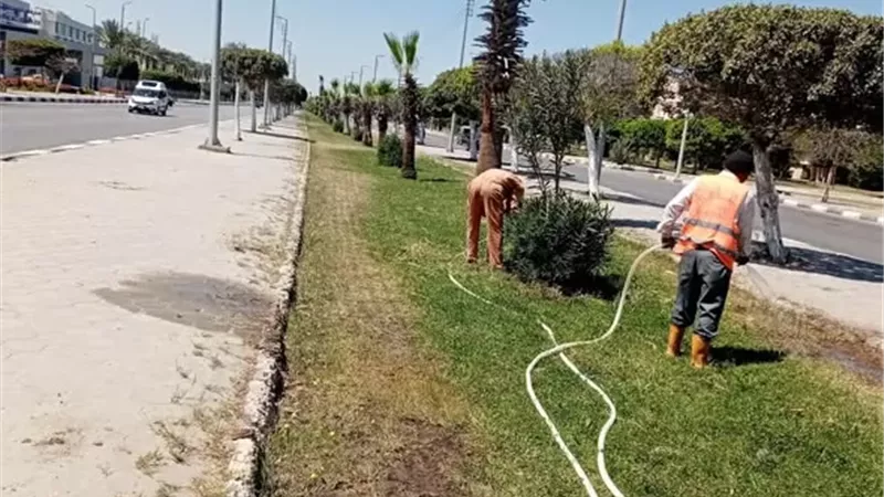 الإسماعيلية تواصل رفع كفاءة الشوارع والميادين