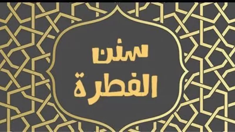 ما هى 