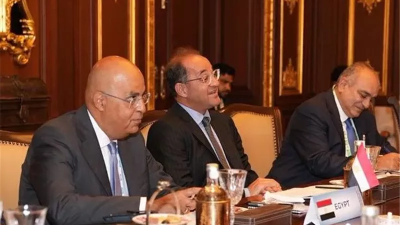 وزيرالمالية:ندعو الشركات الهنديةللاستفادةمن الفرص والحوافز الاستثمارية