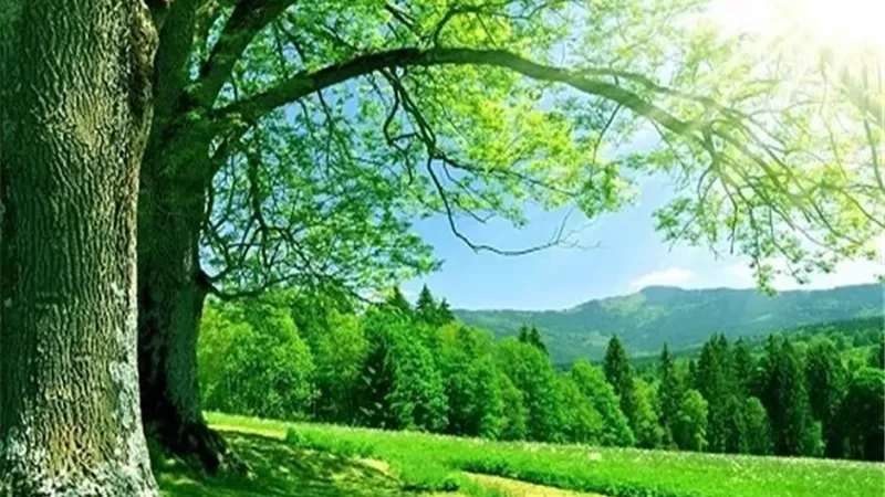الذكر حياة القلب...فضائل الحوقلة كنز الجنة