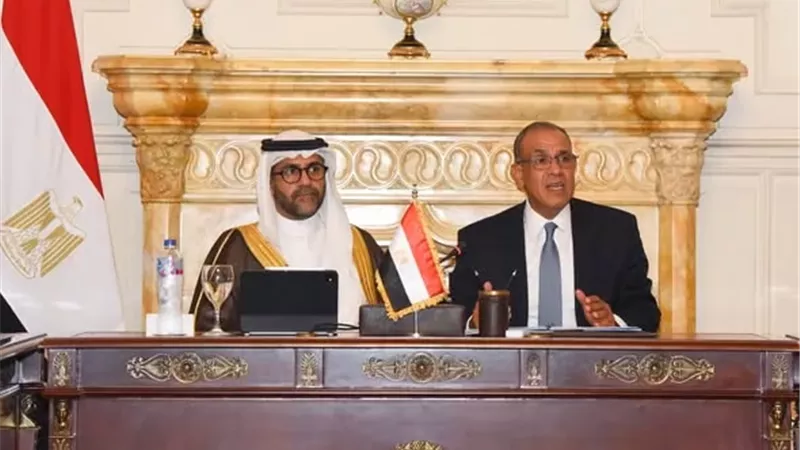 وزير الخارجية يبحث دعم توسع الشركات المصرية في الأسواق الأفريقية