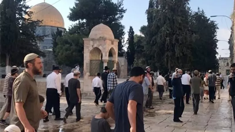 بحماية شرطة الاحتلال.. 179 مستوطنًا يقتحمون المسجد الأقصى ويؤدون طقوسًا وصلوات علنية
