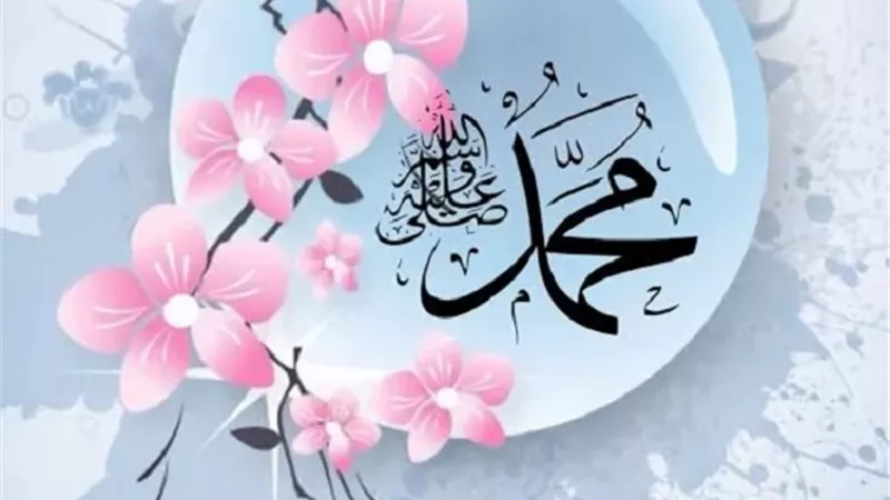 الأوقاف:طيب النسب وشرف المنبت من خصائص ميلاد النبي ﷺ