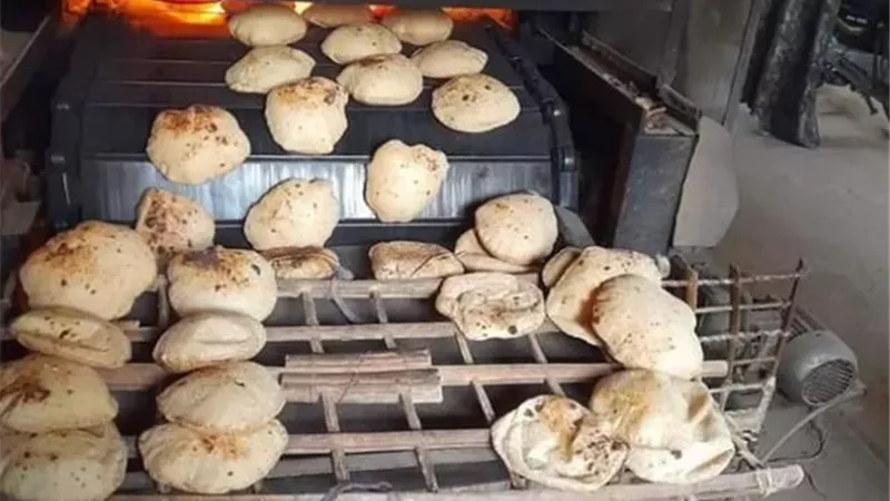20 محضرا لأصحاب مخابز مخالفة في حملات بالغربية