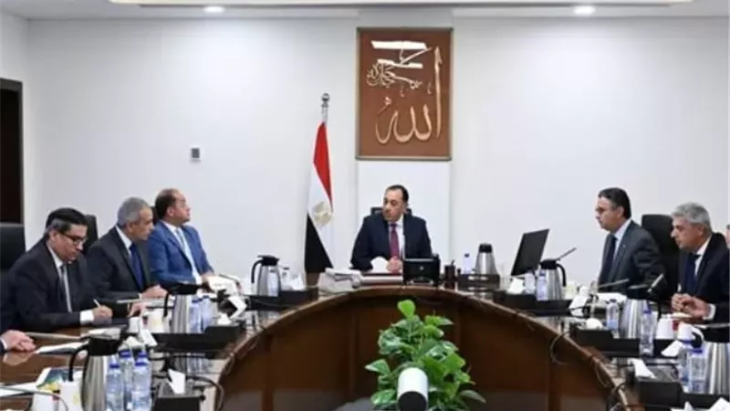 وزير التموين: اللحوم والدواجن والبيض ضمن سلع الدعم الجديدة