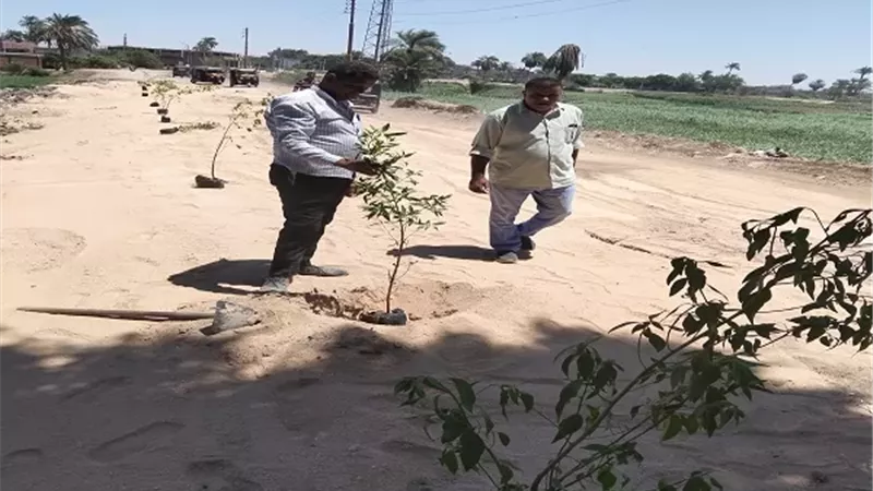 محافظ أسيوط يؤكد استمرار أعمال التشجير بمداخل قرى وعزب البداري