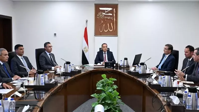 مدبولي يستعرض مقترح تنفيذ مبادرة 