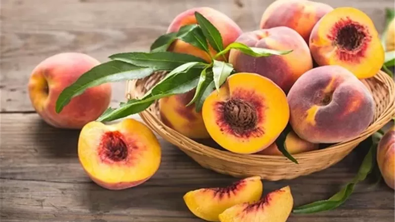 الخوخ .. فوائد صحية تبدأ من الهضم وتمتد للقلب