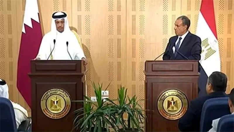 وزير الخارجية : العلاقات السياسية مع قطر تشهد «نقلة نوعية»
