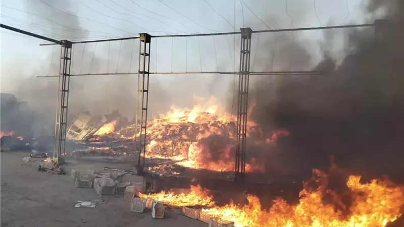 اصابة 14 عامل فى حريق هائل بمحطة تصدير موالح بالشرقية