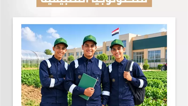 من الدراسة إلى سوق العمل.. 6 مزايا لاختيار 